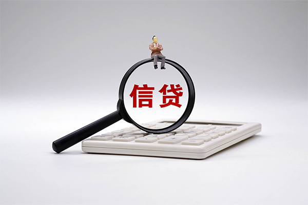 重庆信用押车贷款